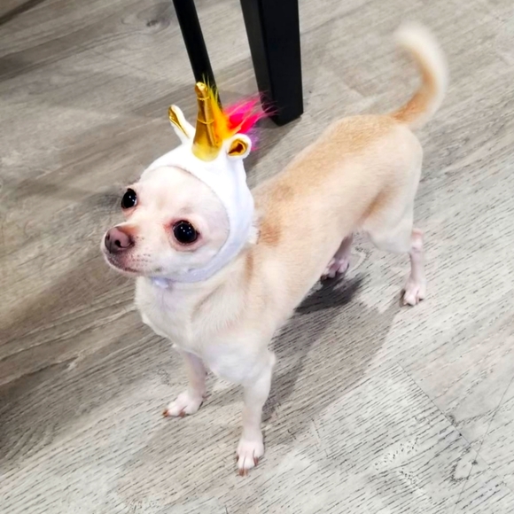 ๐ค๐ฎ๐ธ๐ฆโ ๐ค๐ฎ๐ธ๐ฆโ ๐ค - Picture 8 of 16